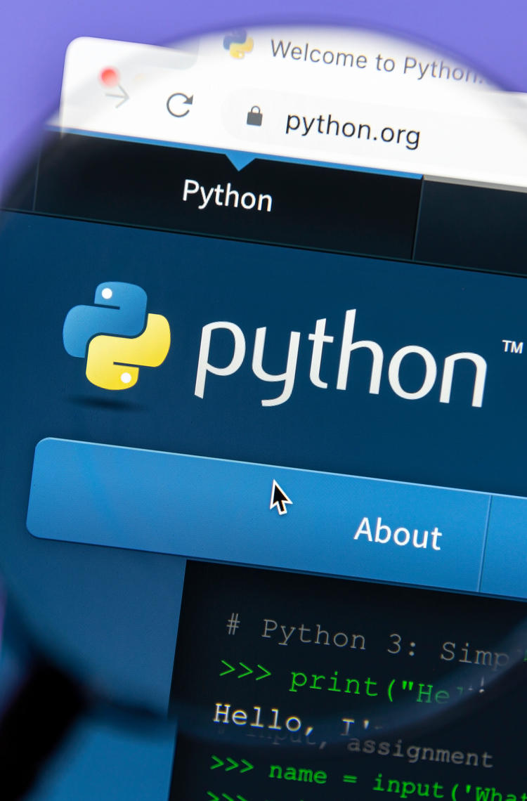 Python Python website